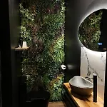 Amazonia - Starry Sky & Bath * Valenciennes