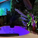 Amazonia - Starry Sky & Bath Valenciennes