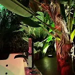 Appartement Amazonia - Starry Sky & Bath