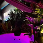 Appartement Amazonia - Starry Sky & Bath *