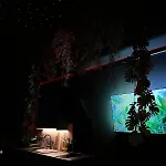 Amazonia - Starry Sky & Bath