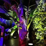 Appartement Amazonia - Starry Sky & Bath