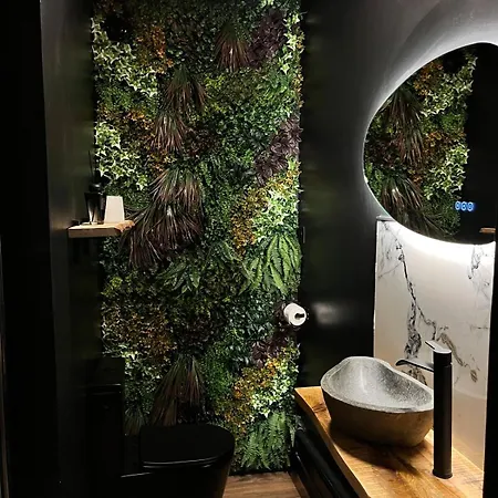 Amazonia - Starry Sky & Bath * Valenciennes