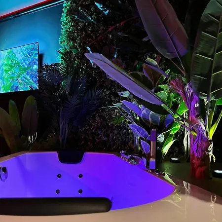 Amazonia - Starry Sky & Bath Valenciennes