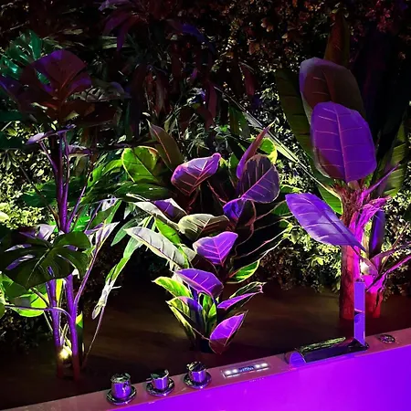 Appartement Amazonia - Starry Sky & Bath Valenciennes