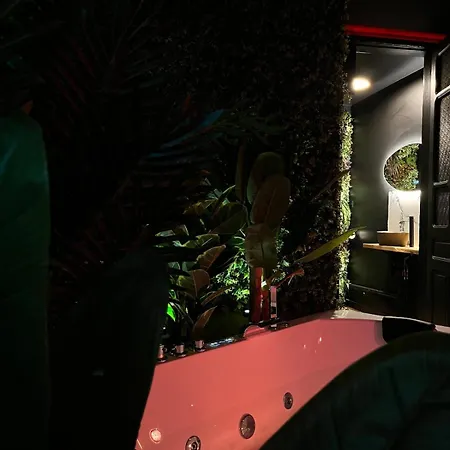 Amazonia - Starry Sky & Bath *