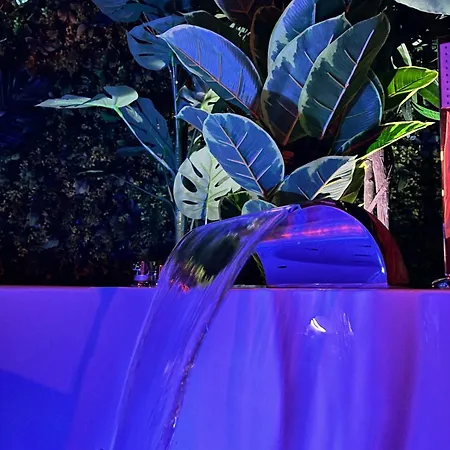 Amazonia - Starry Sky & Bath * Valenciennes