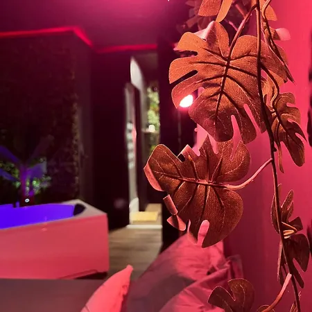 Amazonia - Starry Sky & Bath * Valenciennes