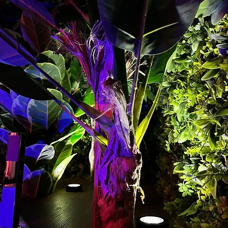 Appartement Amazonia - Starry Sky & Bath