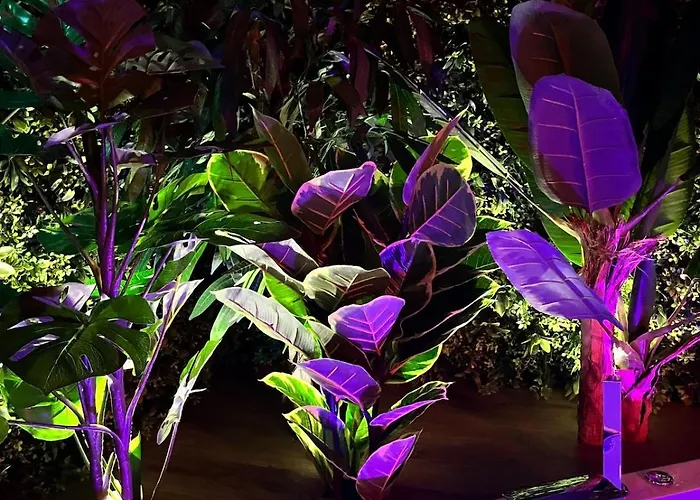 Appartement Amazonia - Starry Sky & Bath Valenciennes