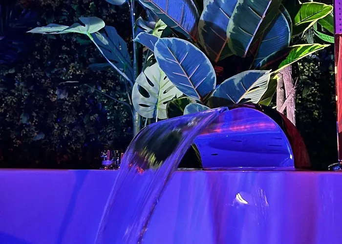 Amazonia - Starry Sky & Bath * Valenciennes