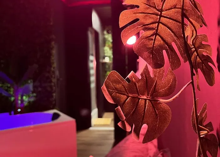 Amazonia - Starry Sky & Bath * Valenciennes