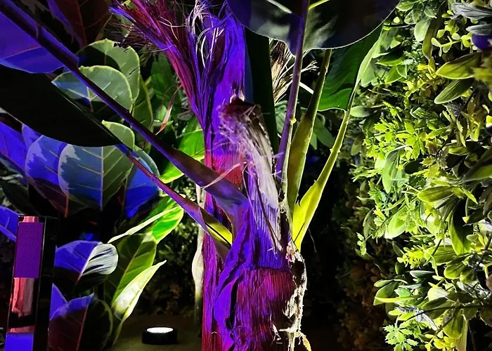 Appartement Amazonia - Starry Sky & Bath